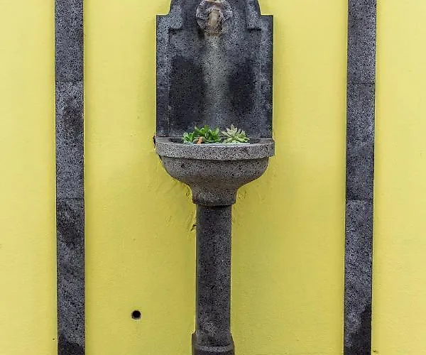 Quinta Palmeiras 3* بوفواساو