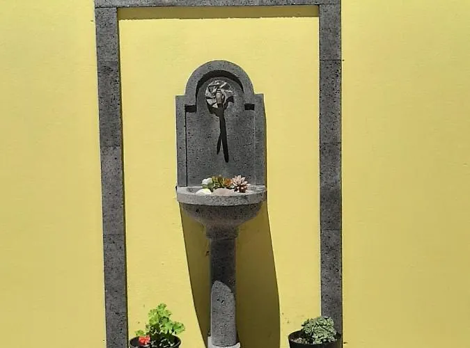 Quinta Palmeiras بوفواساو