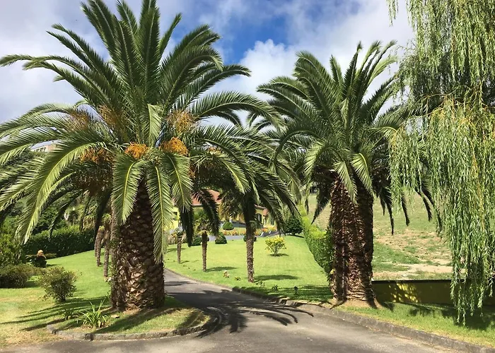 بيت ضيافة Quinta Palmeiras