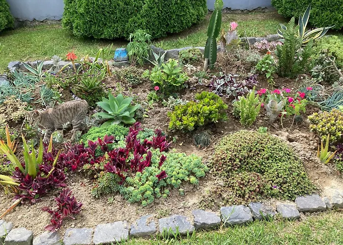 Quinta Palmeiras بوفواساو