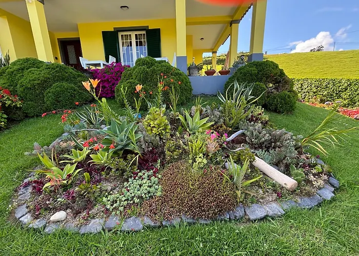 بيت ضيافة Quinta Palmeiras