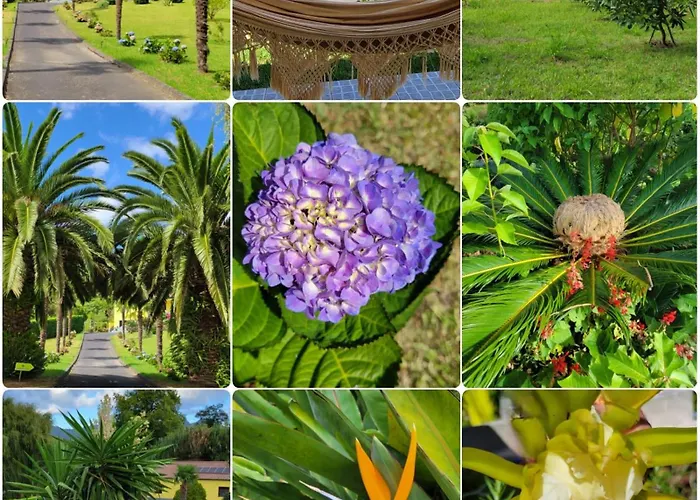 بيت ضيافة Quinta Palmeiras 3*