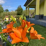 Quinta Palmeiras 3*