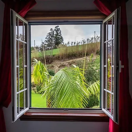 Quinta Palmeiras 게스트하우스 포보아카오