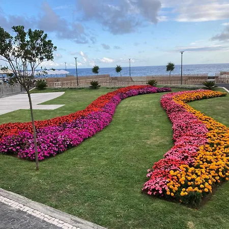 Quinta Palmeiras * Povoacao (Sao Miguel)