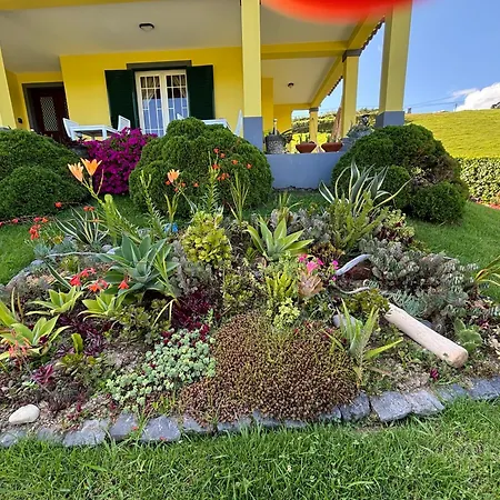 게스트하우스 Quinta Palmeiras