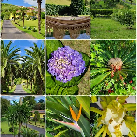 Affittacamere Quinta Palmeiras 3*