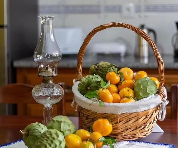 ゲストハウス Quinta Palmeiras 3*