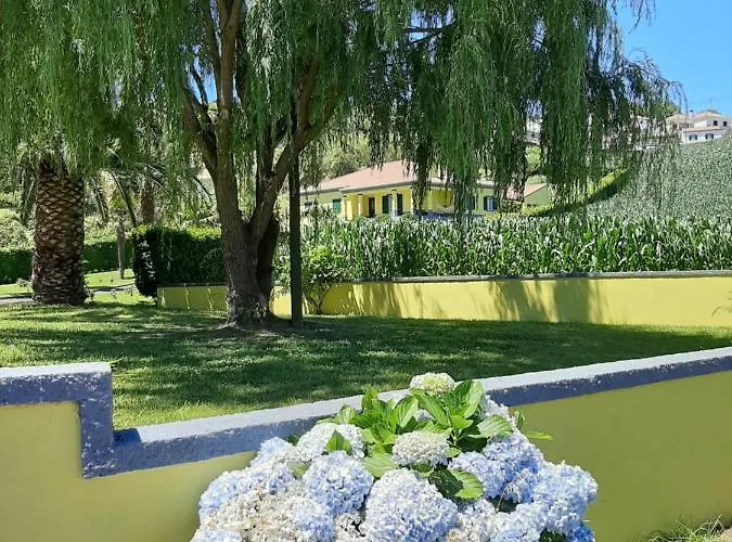 Pensión Quinta Palmeiras Povoacao (Sao Miguel)